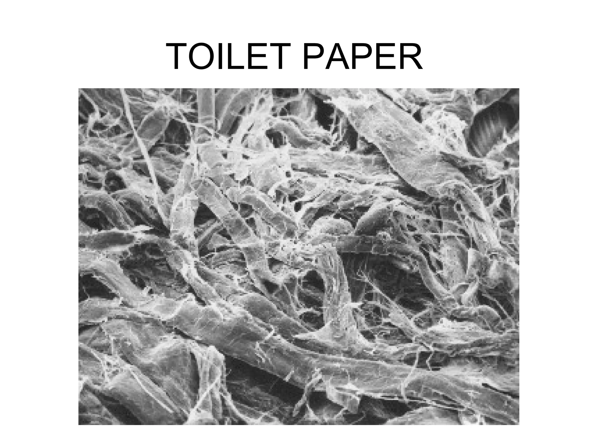 TOILET PAPER
 