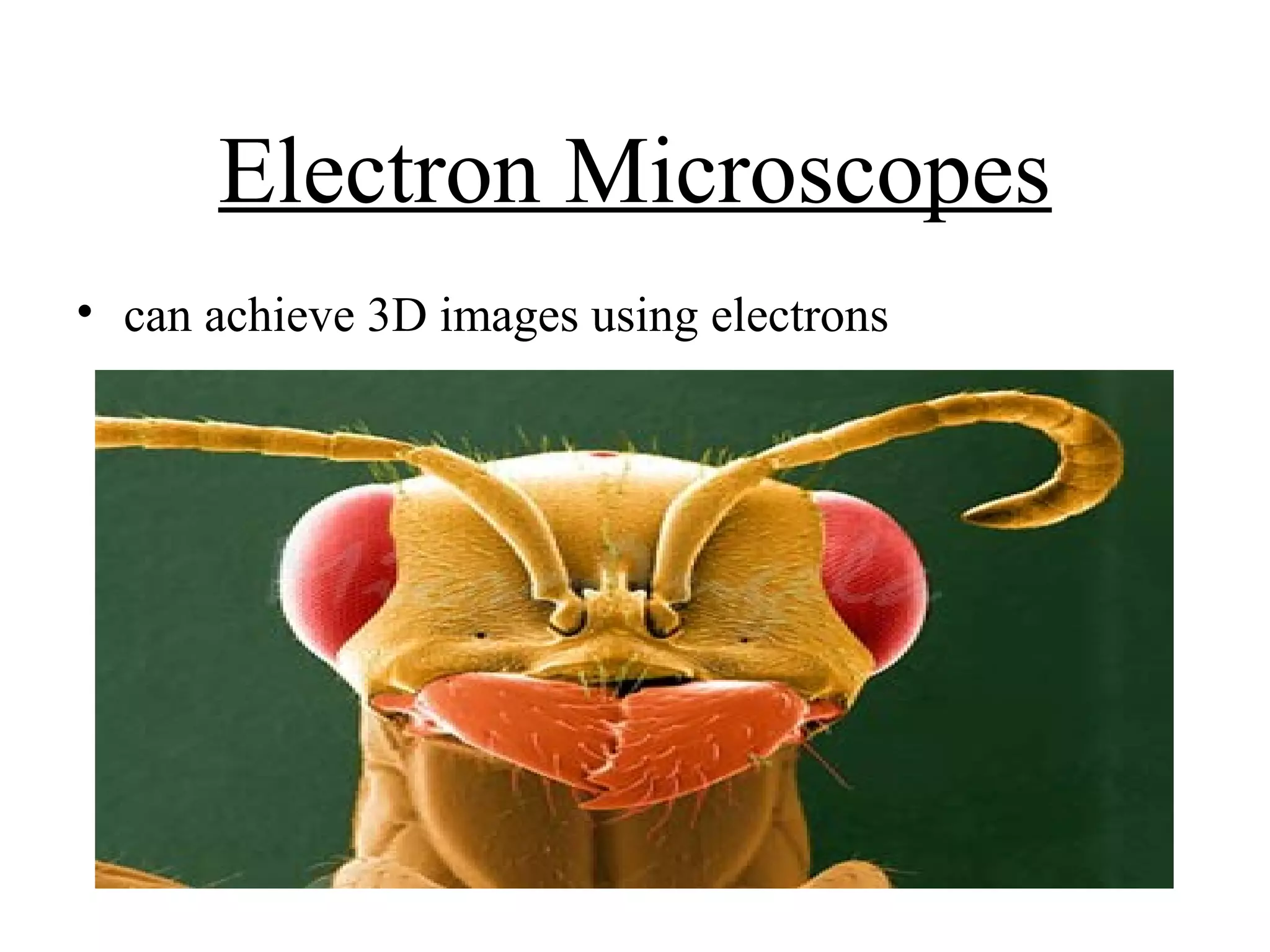 Electron Microscopes
• can achieve 3D images using electrons
 