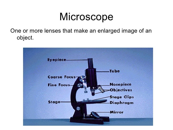 3 Types Of Microscopes And Their Uses Micropedia