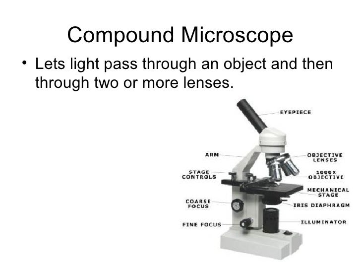 Types of Microscope