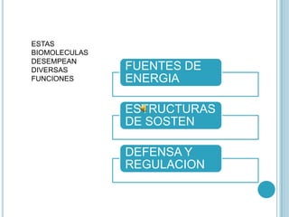 ESTAS
BIOMOLECULAS
DESEMPEAN
DIVERSAS       FUENTES DE
FUNCIONES      ENERGIA

               ESTRUCTURAS
               DE SOSTEN

               DEFENSA Y
               REGULACION
 