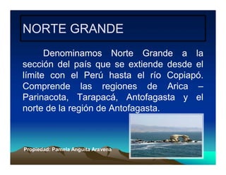 Ppt zonas naturales de chile | PDF