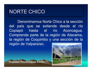 Ppt zonas naturales de chile | PDF