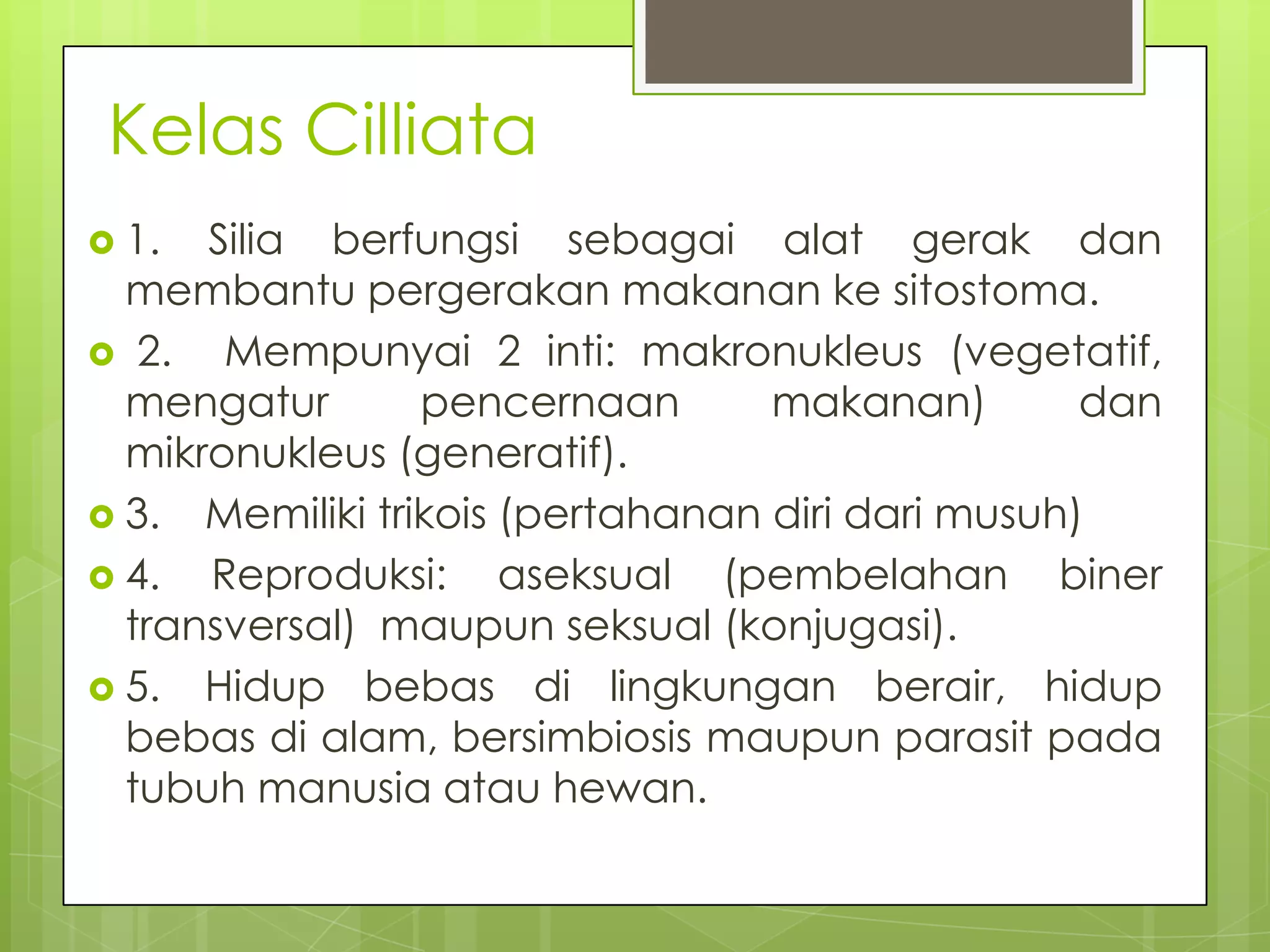 Kelas Cilliata
 1.  Silia berfungsi sebagai alat gerak dan
  membantu pergerakan makanan ke sitostoma.
 2.   Mempunyai 2 inti: makronukleus (vegetatif,
  mengatur       pencernaan       makanan)        dan
  mikronukleus (generatif).
 3. Memiliki trikois (pertahanan diri dari musuh)
 4.  Reproduksi: aseksual (pembelahan biner
  transversal) maupun seksual (konjugasi).
 5. Hidup bebas di lingkungan berair, hidup
  bebas di alam, bersimbiosis maupun parasit pada
  tubuh manusia atau hewan.
 