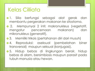Kelas Cilliata
 1.  Silia berfungsi sebagai alat gerak dan
  membantu pergerakan makanan ke sitostoma.
 2.   Mempunyai 2...