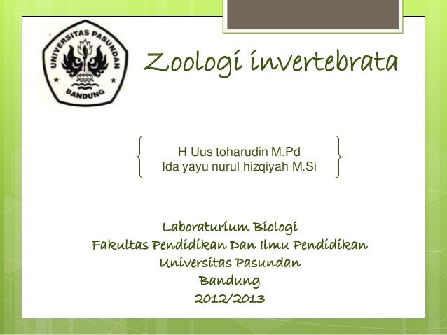 76 Gambar Hewan Invertebrata Protozoa Terbaik