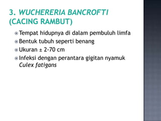  Tempat   hidupnya di dalam pembuluh limfa
 Bentuk tubuh seperti benang
 Ukuran ± 2-70 cm
 Infeksi dengan perantara gi...