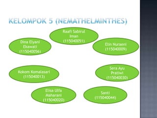 Raafi Sabirul
                             Iman
 Dina Elyani              (115040051)
                                    ...