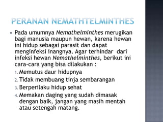    Pada umumnya Nemathelminthes merugikan
    bagi manusia maupun hewan, karena hewan
    ini hidup sebagai parasit dan d...
