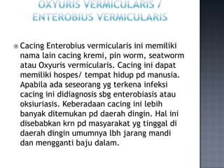  Cacing Enterobius vermicularis ini memiliki
 nama lain cacing kremi, pin worm, seatworm
 atau Oxyuris vermicularis. Caci...