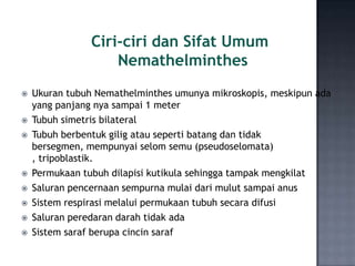Ciri-ciri dan Sifat Umum
                    Nemathelminthes
   Ukuran tubuh Nemathelminthes umunya mikroskopis, meskipun...