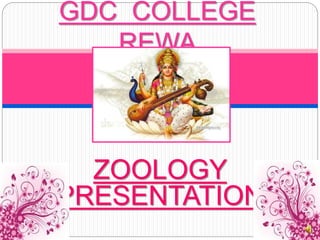 ZOOLOGY
PRESENTATION
GDC COLLEGE
REWA
 