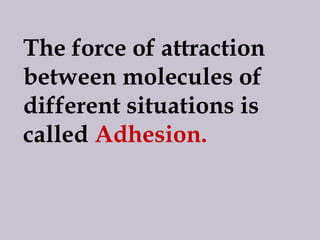 ADHESION AND COHESION | PPS