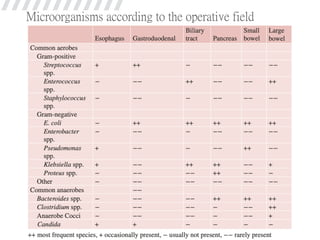 Microorganisms according to the operative field
 