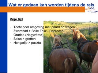 Wat er gedaan kan worden tijdens de reis


Vrije tijd

-   Tocht door omgeving met paard en wagen
-   Zwembad > Baile Felix / Debrecen
-   Oradea (Nagyvárad)
-   Beius > grotten
-   Hongarije > puszta
 
