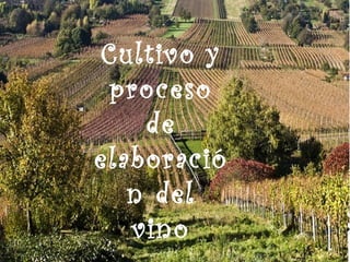 Cultivo y
proceso
de
elaboració
n del
vino
 