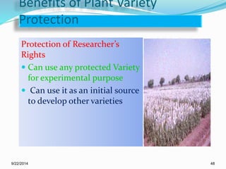 Farmers Rights Vs Researchers Rights Criteria for protection of new plant varieties and Farmers right act ...