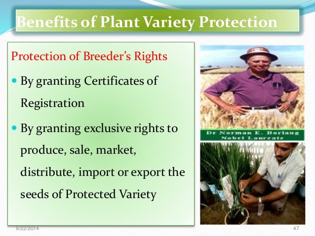 Criteria for protection of new plant varieties and Farmers right act