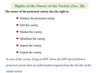 Rights of the Owner of the Variety (Sec. 28)
The owner of the protected variety has the right to
Produce the protected variety
Sell the variety
Market the variety
Distribute the variety
Import the variety
Export the variety
In case of the variety being an EDV where the EDV derived from a
protected variety then an authorisation required from the breeder of the
initial variety
 
