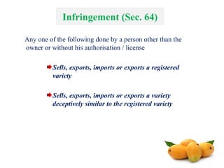 Infringement (Sec. 64)
Any one of the following done by a person other than the
owner or without his authorisation / license
Sells, exports, imports or exports a registered
variety
Sells, exports, imports or exports a variety
deceptively similar to the registered variety
 