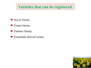 Varieties that can be registered
Novel Variety
Extant Variety
Farmers Variety
Essentially derived variety
 