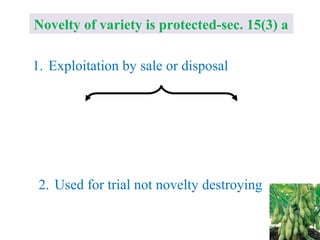 Novelty of variety is protected-sec. 15(3) a
1. Exploitation by sale or disposal
2. Used for trial not novelty destroying
< 1 Year
IN INDIA OVERSEAS
For Trees & Vines < 6 Yrs
Others < 4 Yrs
 