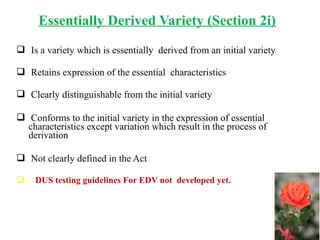 Essentially Derived Variety (Section 2i)
 Is a variety which is essentially derived from an initial variety
 Retains expression of the essential characteristics
 Clearly distinguishable from the initial variety
 Conforms to the initial variety in the expression of essential
characteristics except variation which result in the process of
derivation
 Not clearly defined in the Act
 DUS testing guidelines For EDV not developed yet.
 