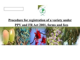 Procedure for registration of a variety under
PPV and FR Act 2001, forms and fees
SST 803 DUS testing
Hridya V Rejeendran
2016801804
1st
Ph.D Scholar, SST
 