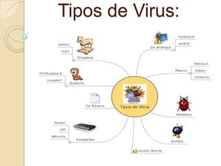 Tipos de Virus:
 