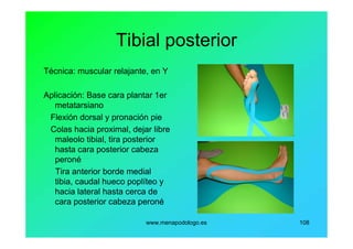 www.menapodologo.es 108
Tibial posterior
Técnica: muscular relajante, en Y
Aplicación: Base cara plantar 1er
metatarsiano
Flexión dorsal y pronación pie
Colas hacia proximal, dejar libre
maleolo tibial, tira posterior
hasta cara posterior cabeza
peroné
Tira anterior borde medial
tibia, caudal hueco poplíteo y
hacia lateral hasta cerca de
cara posterior cabeza peroné
 