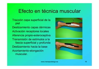 www.menapodologo.es 18
Efecto en técnica muscular
Tracción capa superficial de la
piel
Deslizamiento capas dérmicas
Activación receptores locales
Aferencia propio-exteroceptiva
Transmisión de estímulos a la
fascia superficial y profunda
Deslizamiento hacia la base
Acortamiento-elongación
muscular.
 