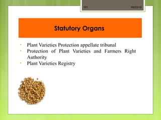 Statutory Organs
• Plant Varieties Protection appellate tribunal
• Protection of Plant Varieties and Farmers Right
Authority
• Plant Varieties Registry
09/23/18101
 