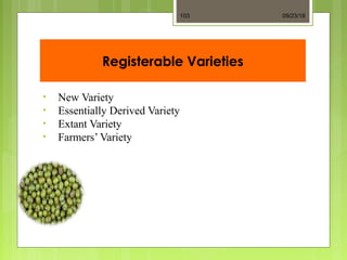 Registerable Varieties
• New Variety
• Essentially Derived Variety
• Extant Variety
• Farmers’ Variety
09/23/18103
 