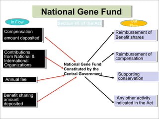 Annual feeAnnual fee
Benefit sharing
amount
deposited
Benefit sharing
amount
deposited
Contributions
from National &
International
Organizations
Contributions
from National &
International
Organizations
Any other activity
indicated in the Act
Any other activity
indicated in the Act
Reimbursement of
compensation
Reimbursement of
compensation
Supporting
conservation
Supporting
conservation
National Gene FundNational Gene Fund
Compensation
amount deposited
Reimbursement of
Benefit shares
Reimbursement of
Benefit shares
Section 45 of the ActSection 45 of the Act
National Gene Fund
Constituted by the
Central Government
In Flow Out
Flow
 