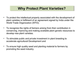 • To protect the intellectual property associated with the development of
plant varieties in fulfilment of an agreement signed by India under the
World Trade Organization (WTO).
• To recognize the rights of farmers arising from their contribution in
conserving, improving and making available plant genetic resources to
develop new plant varieties.
• To stimulate public and private investment in plant breeding to
accelerate agricultural Development and
• To ensure high quality seed and planting material to farmers by
promoting the seed industry.
Why Protect Plant Varieties?Why Protect Plant Varieties?
 