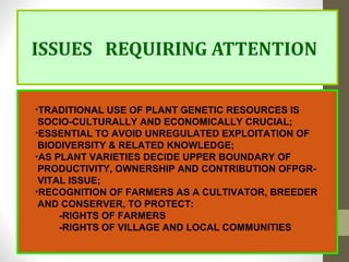 ISSUES REQUIRING ATTENTION
•TRADITIONAL USE OF PLANT GENETIC RESOURCES IS
SOCIO-CULTURALLY AND ECONOMICALLY CRUCIAL;
•ESSENTIAL TO AVOID UNREGULATED EXPLOITATION OF
BIODIVERSITY & RELATED KNOWLEDGE;
•AS PLANT VARIETIES DECIDE UPPER BOUNDARY OF
PRODUCTIVITY, OWNERSHIP AND CONTRIBUTION OFPGR-
VITAL ISSUE;
•RECOGNITION OF FARMERS AS A CULTIVATOR, BREEDER
AND CONSERVER, TO PROTECT:
-RIGHTS OF FARMERS
-RIGHTS OF VILLAGE AND LOCAL COMMUNITIES
 