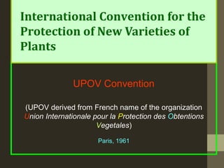 UPOV Convention
(UPOV derived from French name of the organization
Union Internationale pour la Protection des Obtentions
Vegetales)
Paris, 1961
International Convention for the
Protection of New Varieties of
Plants
 