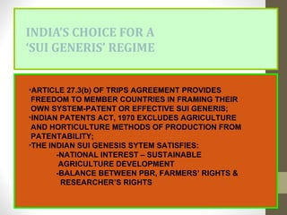 INDIA’S CHOICE FOR A
‘SUI GENERIS’ REGIME
•ARTICLE 27.3(b) OF TRIPS AGREEMENT PROVIDES
FREEDOM TO MEMBER COUNTRIES IN FRAMING THEIR
OWN SYSTEM-PATENT OR EFFECTIVE SUI GENERIS;
•INDIAN PATENTS ACT, 1970 EXCLUDES AGRICULTURE
AND HORTICULTURE METHODS OF PRODUCTION FROM
PATENTABILITY;
•THE INDIAN SUI GENESIS SYTEM SATISFIES:
-NATIONAL INTEREST – SUSTAINABLE
AGRICULTURE DEVELOPMENT
-BALANCE BETWEEN PBR, FARMERS’ RIGHTS &
RESEARCHER’S RIGHTS
 