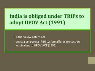 India is obliged under TRIPs to
adopt UPOV Act (1991)
- either allow patents or
- enact a sui generis PBR system affords protection
equivalent to UPOV ACT (1991)
 