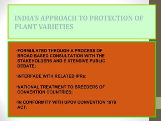 INDIA’S APPROACH TO PROTECTION OF
PLANT VARIETIES
•FORMULATED THROUGH A PROCESS OF
BROAD BASED CONSULTATION WITH THE
STAKEHOLDERS AND E XTENSIVE PUBLIC
DEBATE;
•INTERFACE WITH RELATED IPRs;
•NATIONAL TREATMENT TO BREEDERS OF
CONVENTION COUNTRIES;
•IN CONFORMITY WITH UPOV CONVENTION 1978
ACT.
 