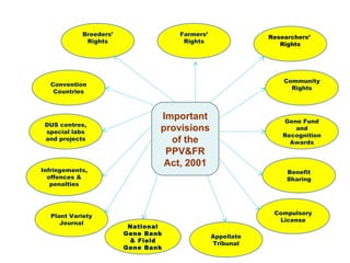 Convention
Countries
Important
provisions
of the
PPV&FR
Act, 2001
National
Gene Bank
& Field
Gene Bank
Appellate
Tribunal
Plant Variety
Journal
Infringements,
offences &
penalties
Farmers’
Rights
Breeders’
Rights
Researchers’
Rights
Community
Rights
Compulsory
License
DUS centres,
special labs
and projects
Gene Fund
and
Recognition
Awards
Benefit
Sharing
 