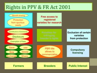 Rights in PPV & FR Act 2001
PBR title
allows to
commercialize
Free access to
registered
varieties for research
Penalties for
infringing
breeder’s rights
Compulsory
licensing
Exclusion of certain
varieties
from protection
Farmers Breeders Public Interest
Benefit sharing
Protection
from spurious
seeds
Contributors of landraces
Exemption of fees
Disclosure
Save
Exchange
resow
use
Sow
Share
PBR title
allows to
commercialize
 