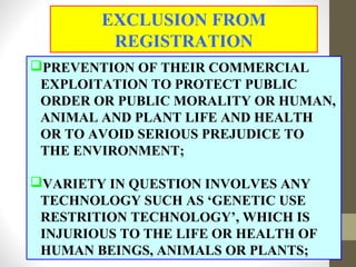 PREVENTION OF THEIR COMMERCIAL
EXPLOITATION TO PROTECT PUBLIC
ORDER OR PUBLIC MORALITY OR HUMAN,
ANIMAL AND PLANT LIFE AND HEALTH
OR TO AVOID SERIOUS PREJUDICE TO
THE ENVIRONMENT;
VARIETY IN QUESTION INVOLVES ANY
TECHNOLOGY SUCH AS ‘GENETIC USE
RESTRITION TECHNOLOGY’, WHICH IS
INJURIOUS TO THE LIFE OR HEALTH OF
HUMAN BEINGS, ANIMALS OR PLANTS;
EXCLUSION FROM
REGISTRATION
 