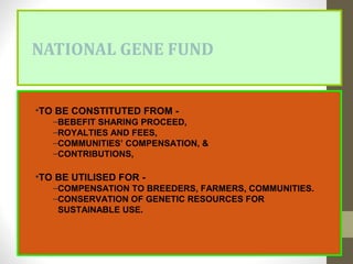 NATIONAL GENE FUND
•TO BE CONSTITUTED FROM -
–BEBEFIT SHARING PROCEED,
–ROYALTIES AND FEES,
–COMMUNITIES’ COMPENSATION, &
–CONTRIBUTIONS,
•TO BE UTILISED FOR -
–COMPENSATION TO BREEDERS, FARMERS, COMMUNITIES.
–CONSERVATION OF GENETIC RESOURCES FOR
SUSTAINABLE USE.
 