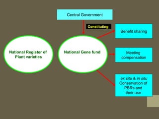 National Register of
Plant varieties
National Gene fund
Central Government
Benefit sharing
Meeting
compensation
ex situ & in situ
Conservation of
PBRs and
their use
Constituting
 