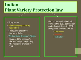 Indian
Plant Variety Protection law
- Progressive
- Pro-developing country
legislation
- Strong and proactive
farmer’s Rights
- Well defined Breeder’s Rights
- Balanced the breeder’s
-farmer’s rights exploiting
the flexibility granted in
TRIPs
- Incorporate principles laid
down in the 1992 convention
on Biological Diversity (CBD)
recognizes farmers’ role as
- Conservers
- Breeders
- Cultivators
 