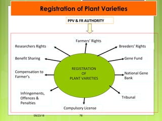 Registration of Plant Varieties
09/23/18 76
PPV & FR AUTHORITY
REGISTRATION
OF
PLANT VARIETIES
Farmers’ Rights
Gene Fund
National Gene
Bank
Benefit Sharing
Compensation to
Farmer’s
Compulsory License
Tribunal
Infringements,
Offences &
Penalties
Breeders’ RightsResearchers Rights
 