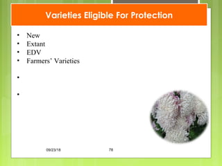 Varieties Eligible For Protection
• New
• Extant
• EDV
• Farmers’ Varieties
•
•
09/23/18 78
 