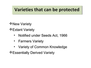 New Variety
Extant Variety
• Notified under Seeds Act, 1966
• Farmers Variety
• Variety of Common Knowledge
Essentially Derived Variety
Varieties that can be protectedVarieties that can be protected
 