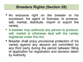 Breeders Rights (Section 28)Breeders Rights (Section 28)
 An exclusive right on the breeder or his
successor, his agent or licensee, to produce,
sell, market, distribute, import or export the
variety.
 A breeder may authorize any person to produce,
sell, market or otherwise deal with the variety
registered under this Act.
 Breeder shall enjoy provisional protection of his
variety against any abusive act committed by
any third party during the period between filling
of application for registration and decision taken
by Authority.
 